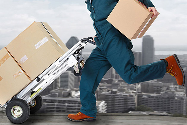 Бесплатная доставка в сентябре